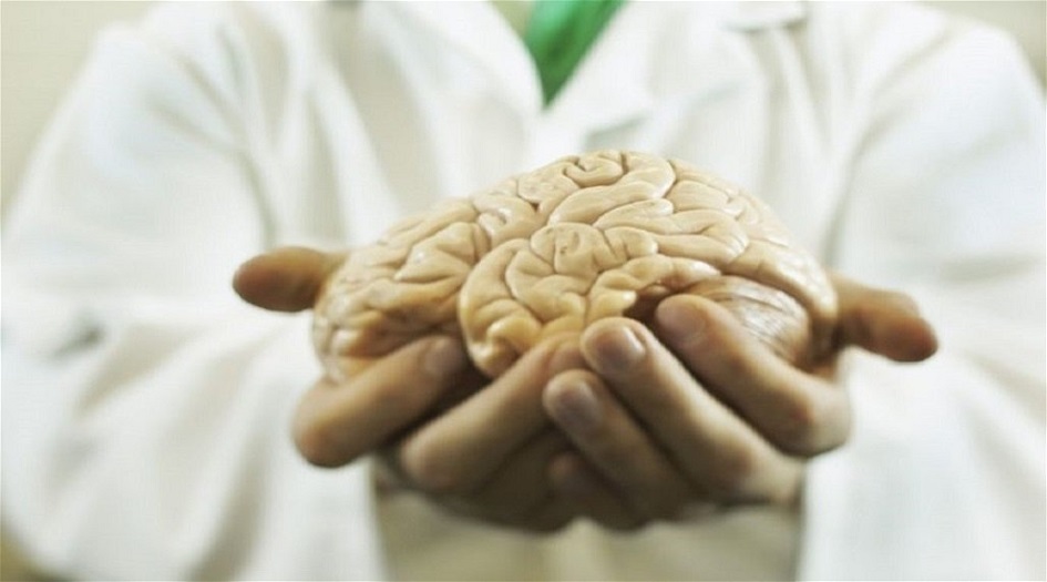 خطوات بسيطة للحفاظ على صحة دماغك من الأمراض
