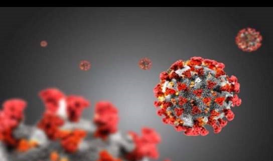کشف پادتن جدید برای مقابله با انواع کروناویروس