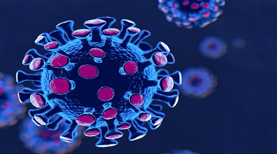 ما هو فيروس "هيهي" الذي أثار مخاوف العالم وما هي أعراضه؟