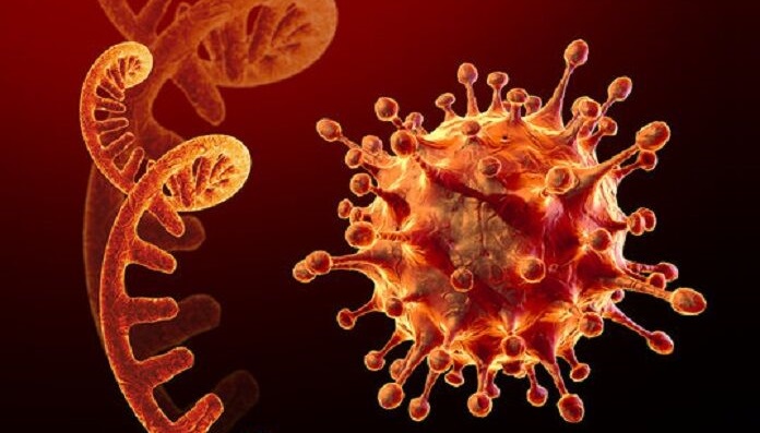 چرا سویه جدید ویروس کرونا خطرناکتر است؟