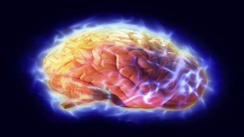 حلّ لغز حيّر العلماء.. اكتشاف "مضخة سرية" في الدماغ!