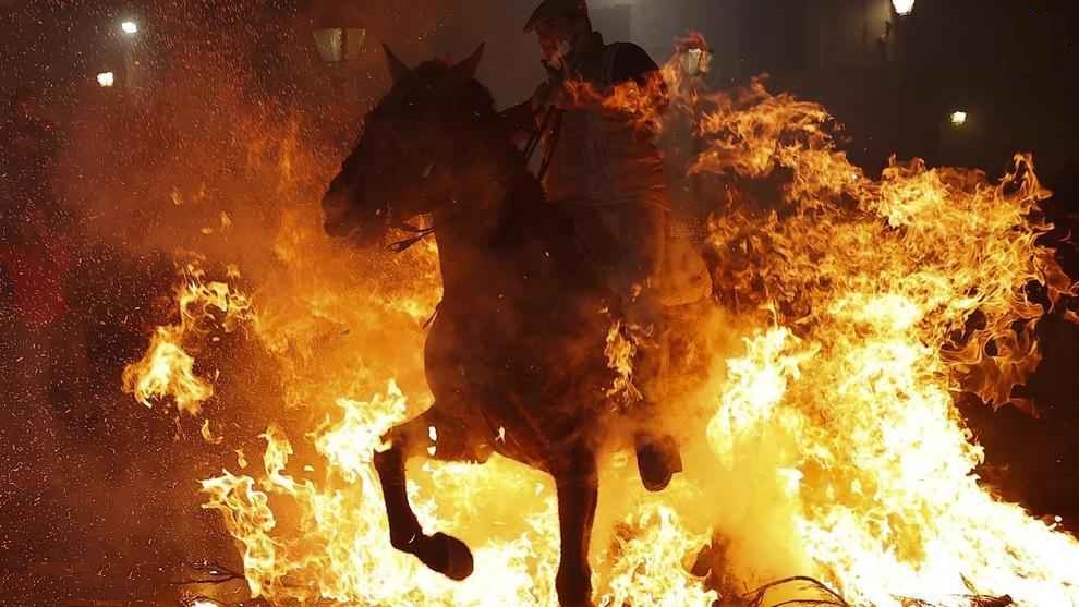 تطهیر اسب‌ها با آتش! +عکس