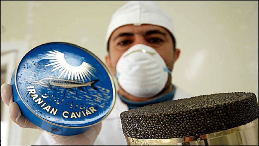 ايران تستأنف صادرات الكافيار لدول الاتحاد الاوروبي
