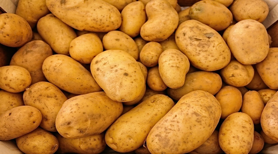 ما هي فوائد “البطاطا الحلوة “؟