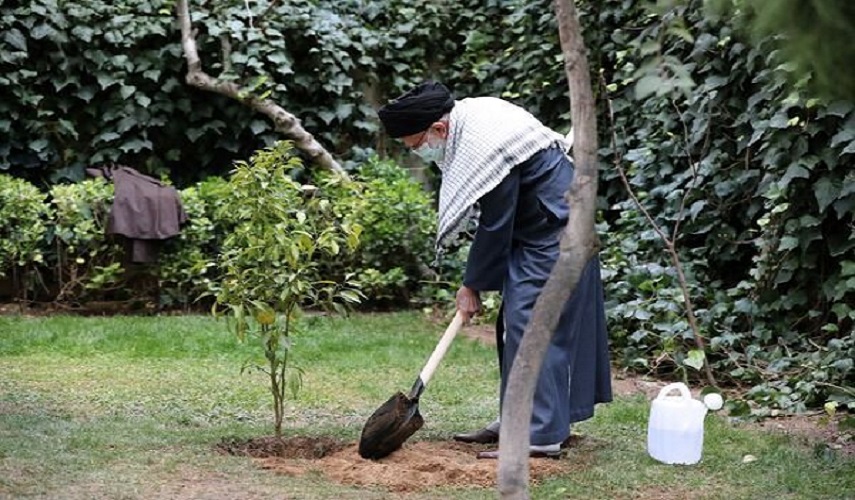 بالصور.. قائد الثورة الاسلامية يغرس شتلة بمناسبة يوم الشجرة ويؤكد على تطوير الطاقة النظيفة 