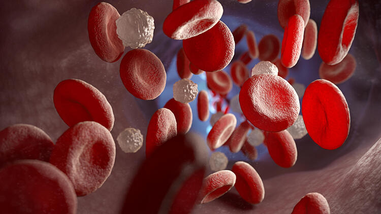 آمال جديدة في مكافحة فيروس نقص المناعة البشرية