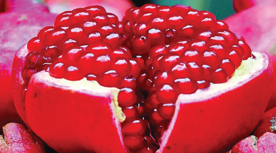 ماهي افضل فاكهة تمنع تطور الامراض السرطانية