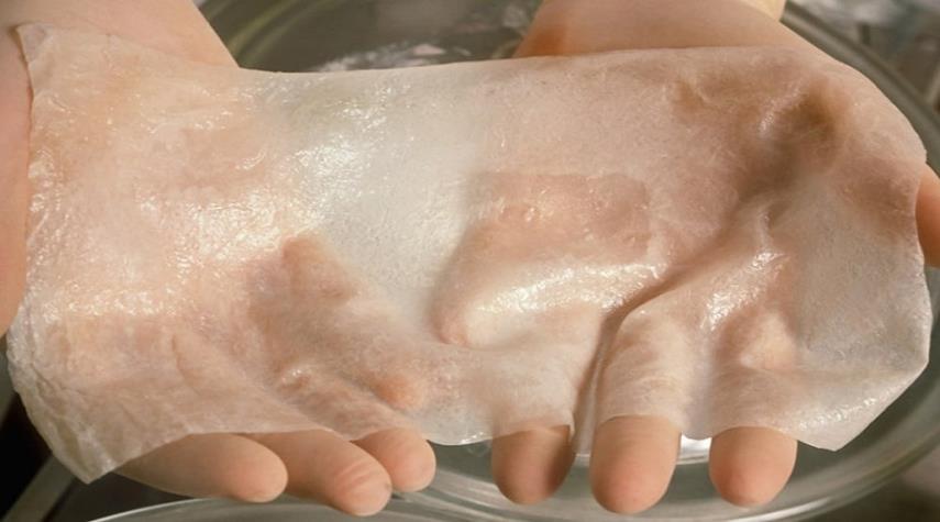 انتاج جلد صناعي في ايران للاستخدامات الطبية
