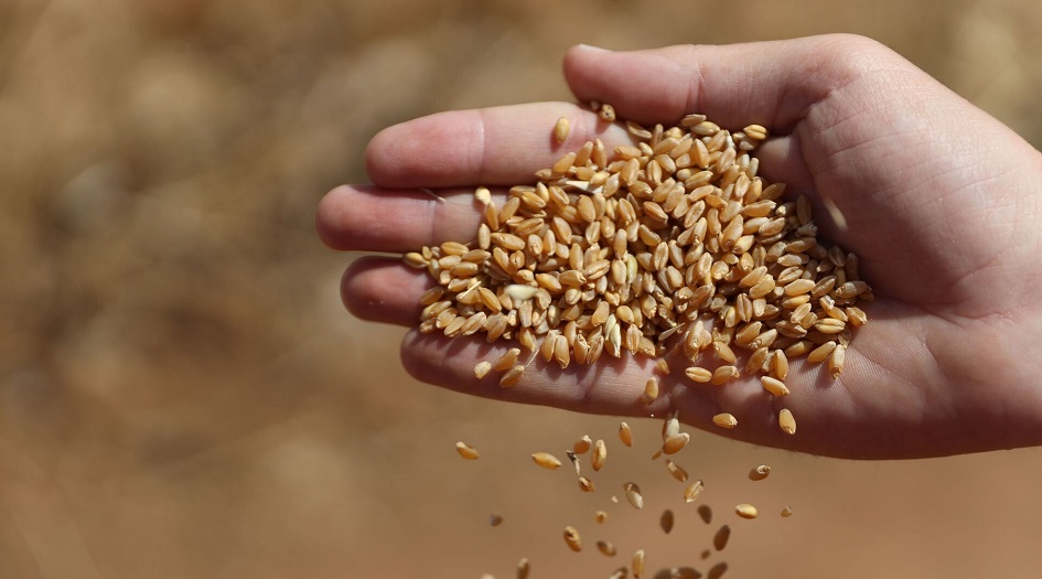 بعد حظر الهند تصدير القمح.. تعرف على أكبر مصدري ومستوردي القمح بالعالم؟