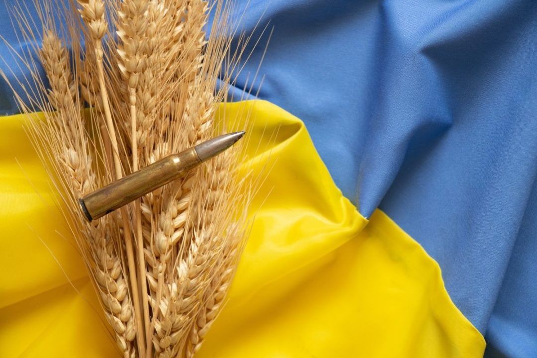 قرارداد "غلات مقابل سلاح" غرب برای اوکراین