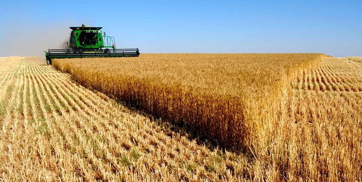 مشتريات ايران من القمح المحلي تتجاوز 2 مليون طن