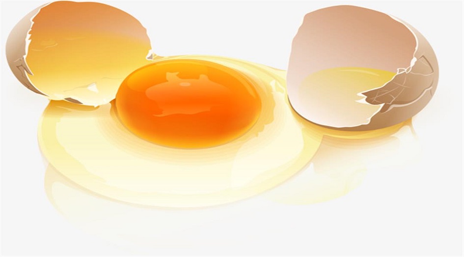 بياض البيض أم صفار البيض؟ أيهما الأفضل لصحتك