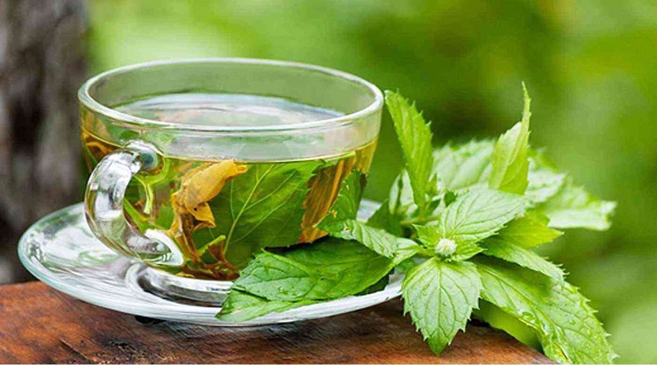 دراسة تكشف فائدة مهمة جديدة للشاي الأخضر