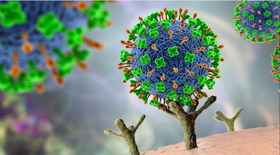 الصين تكشف  تفاصيل  جديدة عن "فيروس لانغيا"