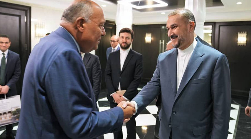 دیدار وزیر خارجه جمهوری اسلامی ایران با همتای مصری خود در نیویورک