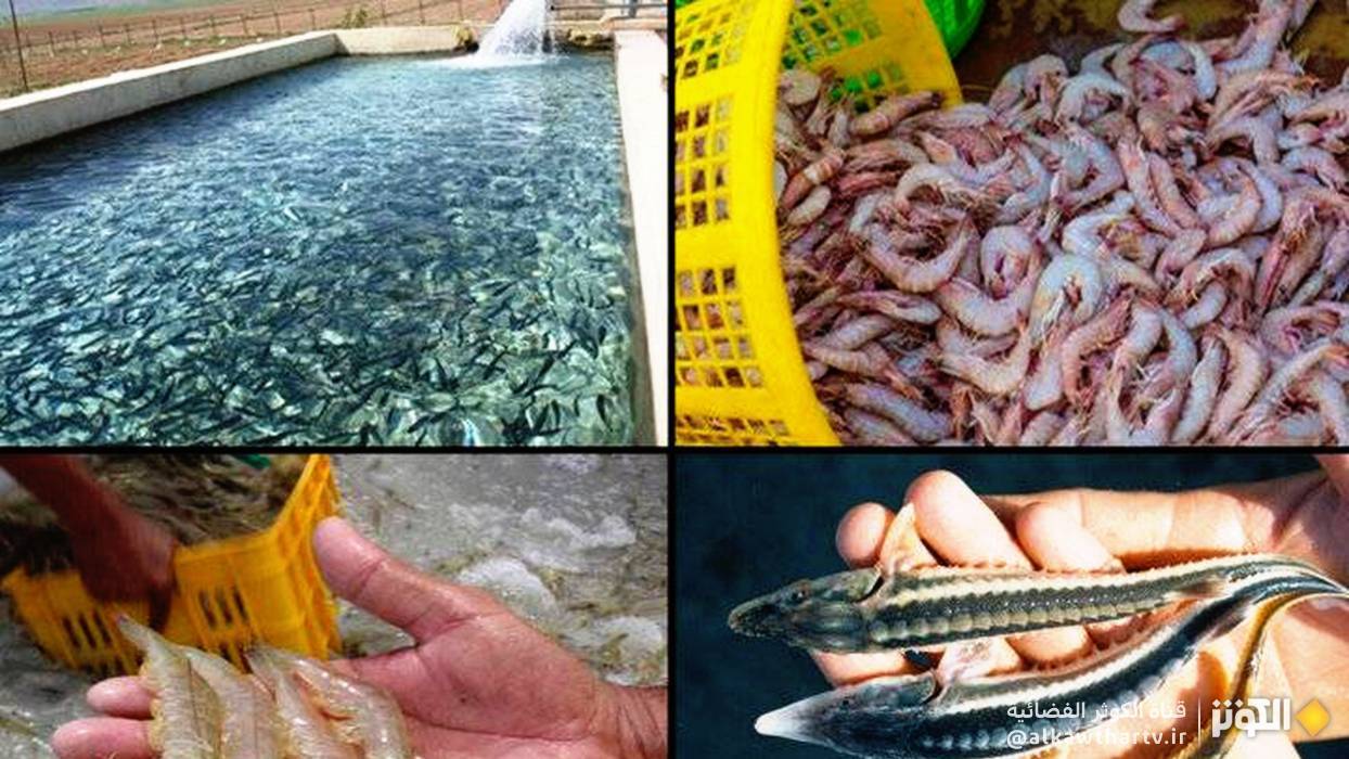 أوزبكستان تدعو إيران للاستثمار في الثروة السمكية لديها