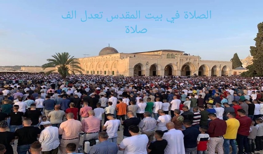 عن أمير المؤمنين (عليه السلام): {صلاة في بيت المقدس تعدل ألف صلاة... } المصدر: التهذيب للشيخ الطوسي