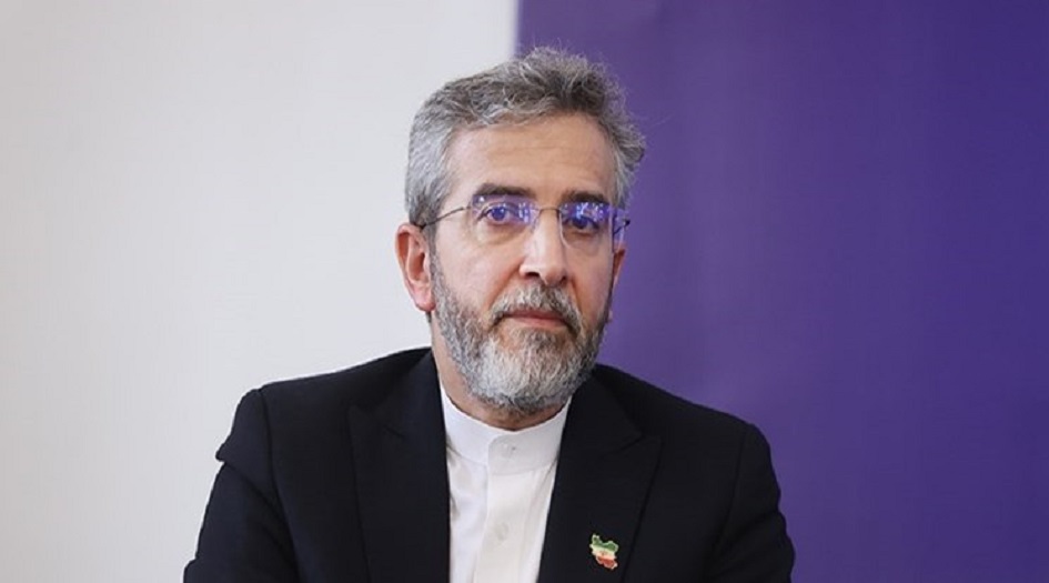 باقري كني:  إيران تولي اهتماما خاصا بمصير جميع مواطنيه